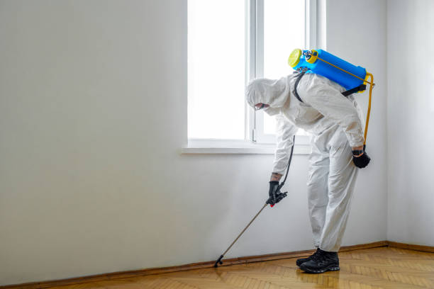 Best Pest Inspection Near Me  in West St Paul, MN